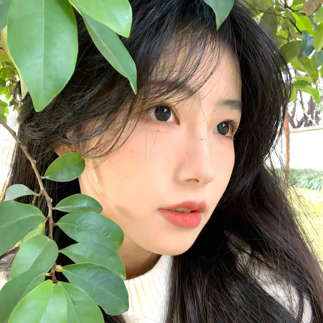 寻找法理德